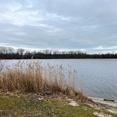 23-02-18 15-51-38 4270